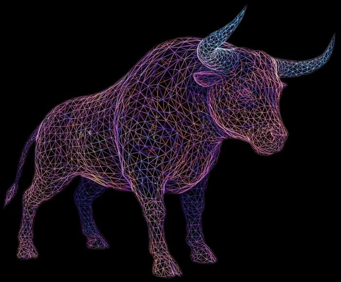 Taurus Hologram